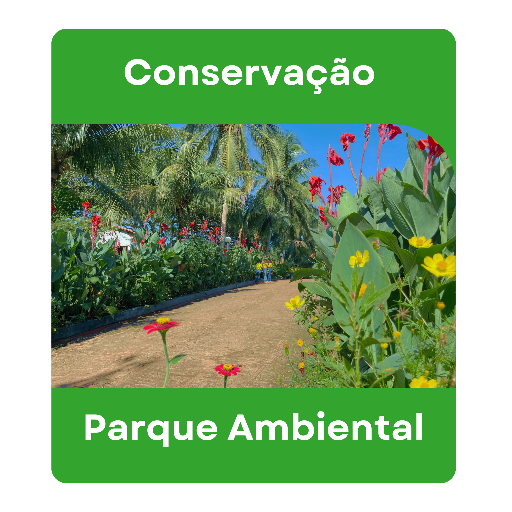 CONSERVAÇÃO PARQUE AMBIENTAL